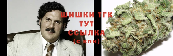 spice Чегем